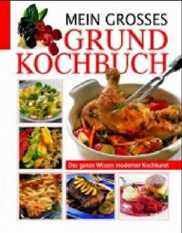 Grosses farbiges Grundkochbuch