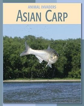 Asian Carp