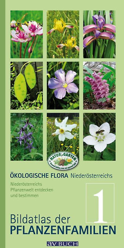 Ökologische Flora – Nieder- Österreichs Pflanzenwelt  entdecken und bestimmen