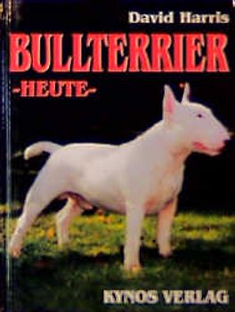 Bull Terrier - heute