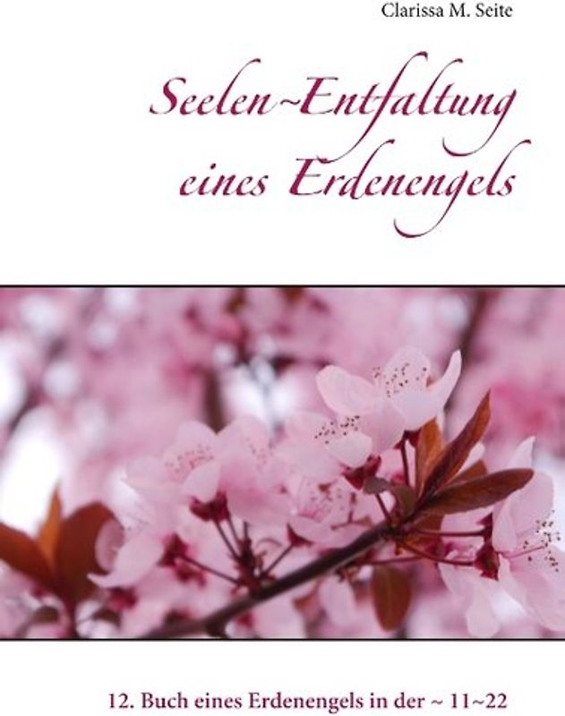 Seelen~Entfaltung eines Erdenengels