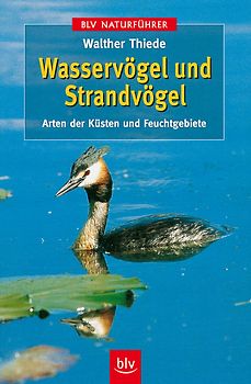 Wasservögel und Strandvögel
