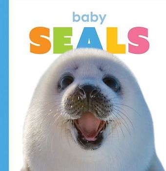 Baby Seals