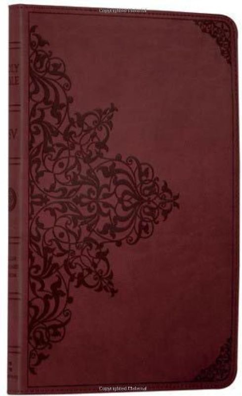 Holy Bible (Bible Esv) - Collins Anglicised ESV Bibles