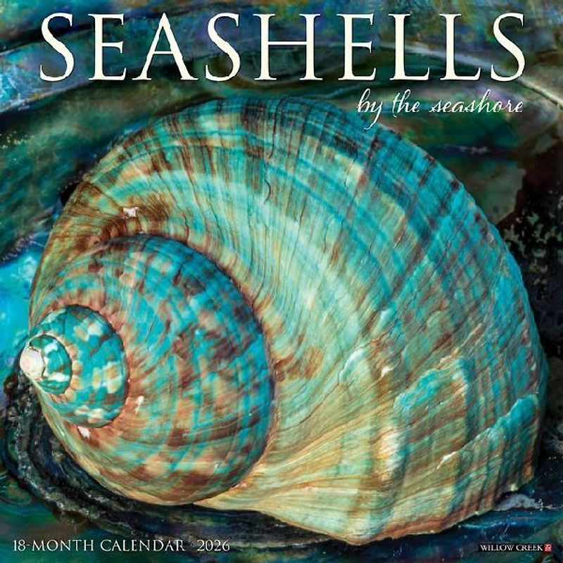 Seashells 2026 12 X 12 Wall Calendar
