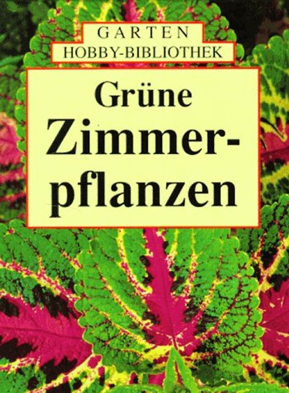 Grüne Zimmerpflanzen