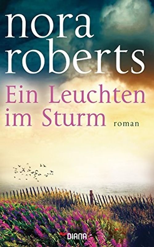 Ein Leuchten im Sturm. Roman