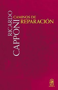 Caminos de reparaci n