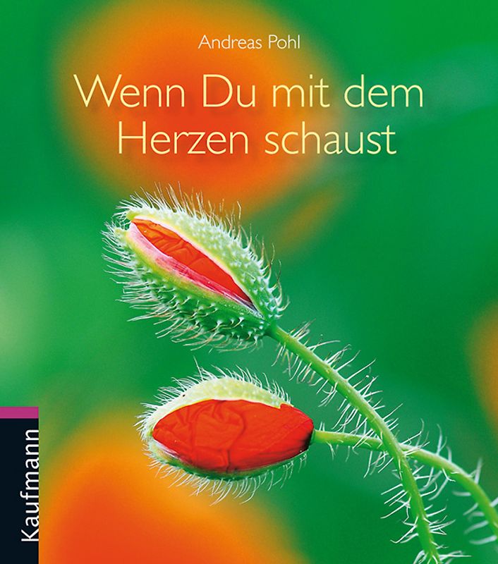 Wenn du mit dem Herzen schaust