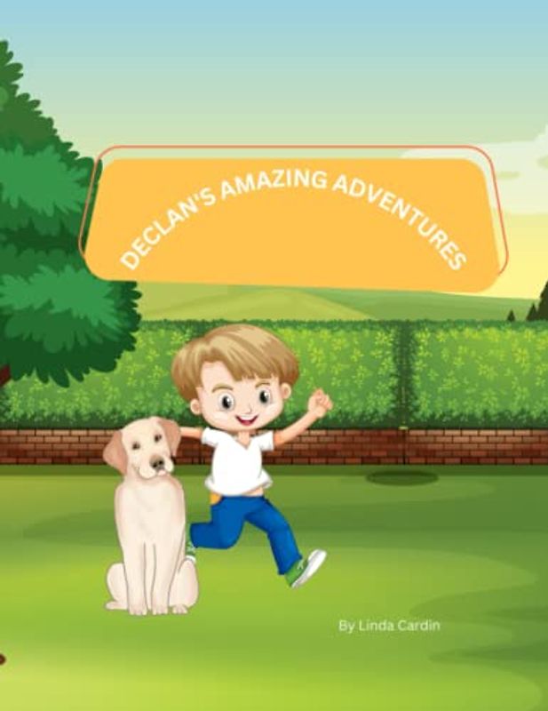 DECLAN'S AMAZING ADVENTURES