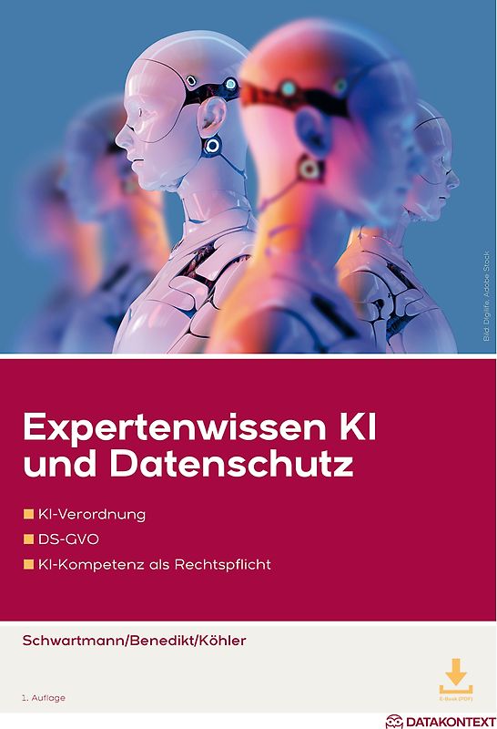 Expertenwissen KI und Datenschutz