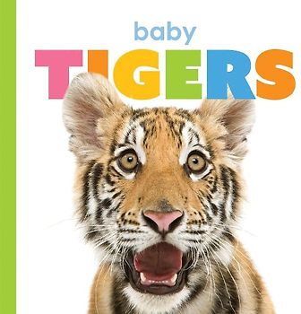 Baby Tigers