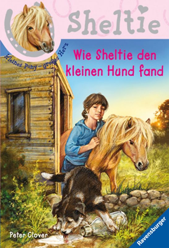 Wie Sheltie den kleinen Hund fand