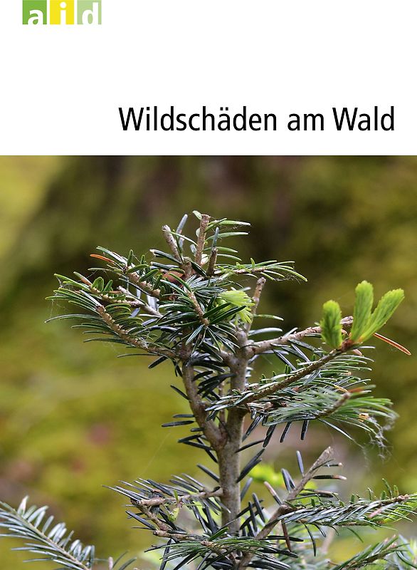 Wildschäden am Wald