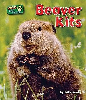 Beaver Kits
