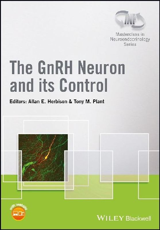 The Gnrh Neuron and Its Control