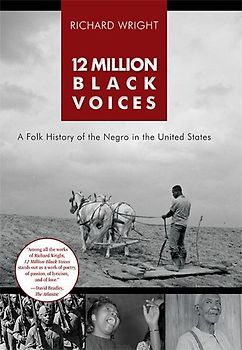 12 Million Black Voices
