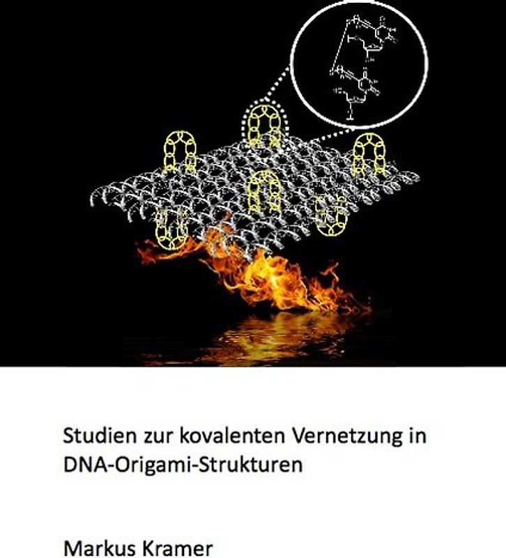 Studien zur kovalenten Vernetzung von DNA-Origami-Strukturen
