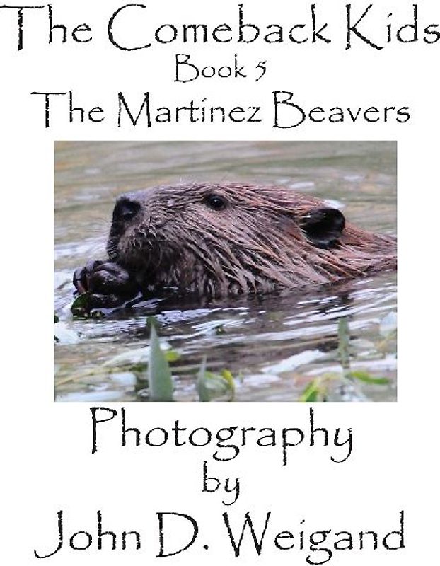 The Comeback Kids, Book 5, The Martinez Beavers
