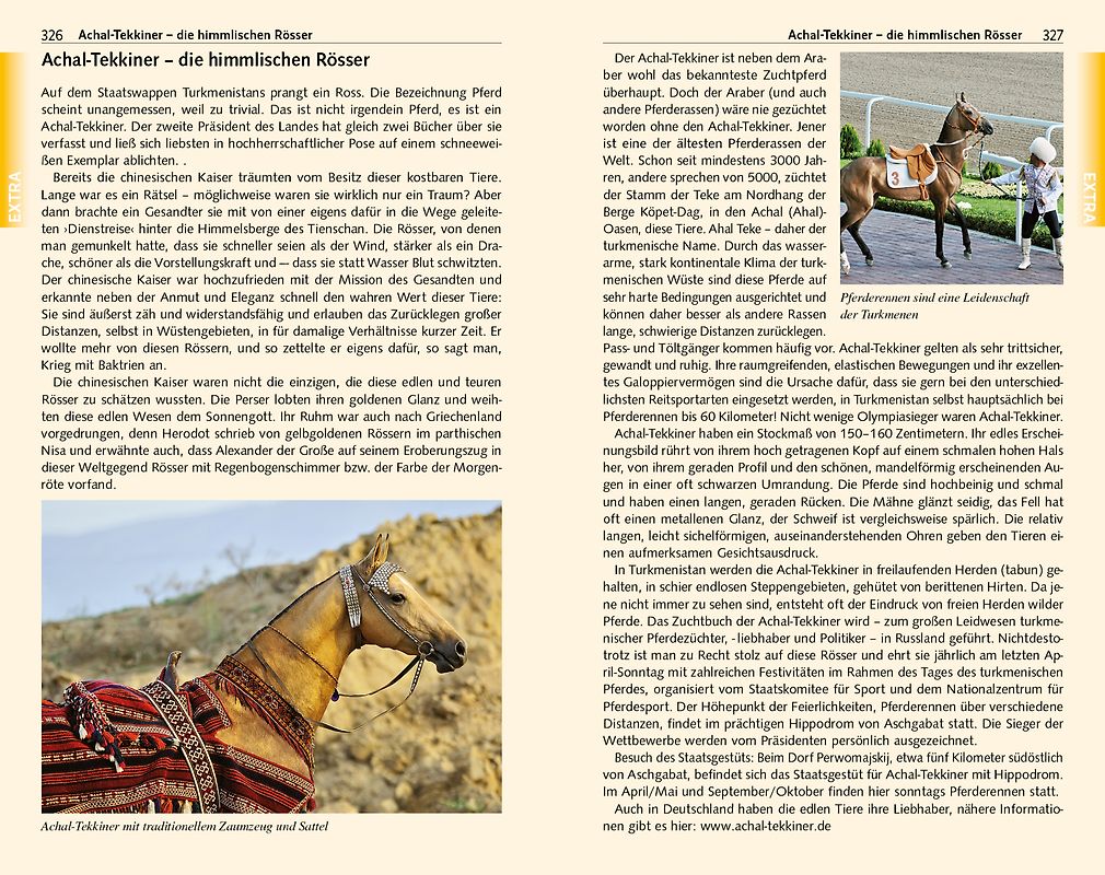 Die Zerstörung der Vernunft. / Soziologie und Irrationalismus.. Irrationalismus und Soziologie