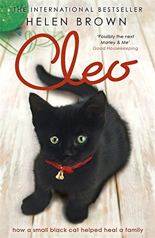 Cleo: How a small black cat helped heal a family - Helen Brown