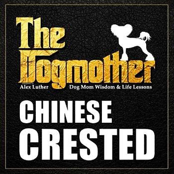 The Dogmother: Chinese Crested: (Dog Mom Wisdom & Life Lessons)