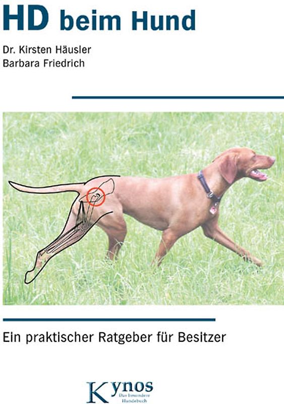 HD beim Hund