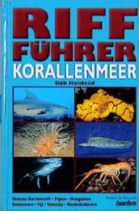 Riff-Führer Korallenmeer