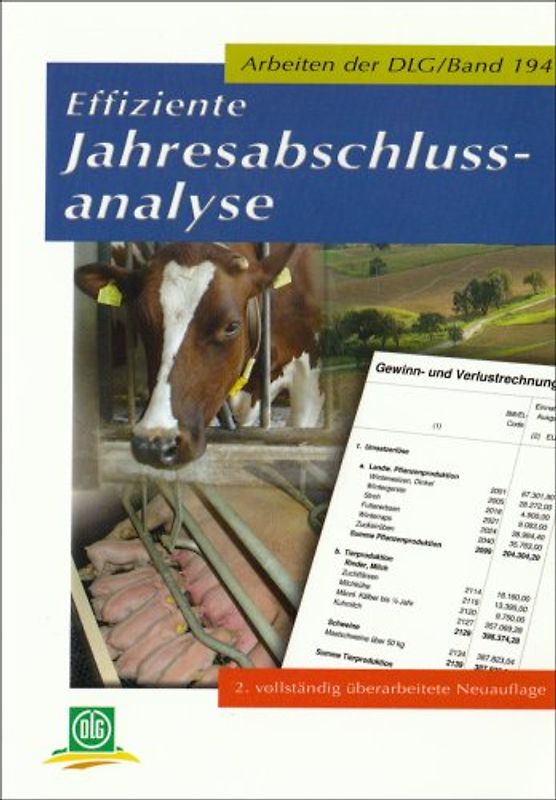 Effiziente Jahresabschlussanalyse