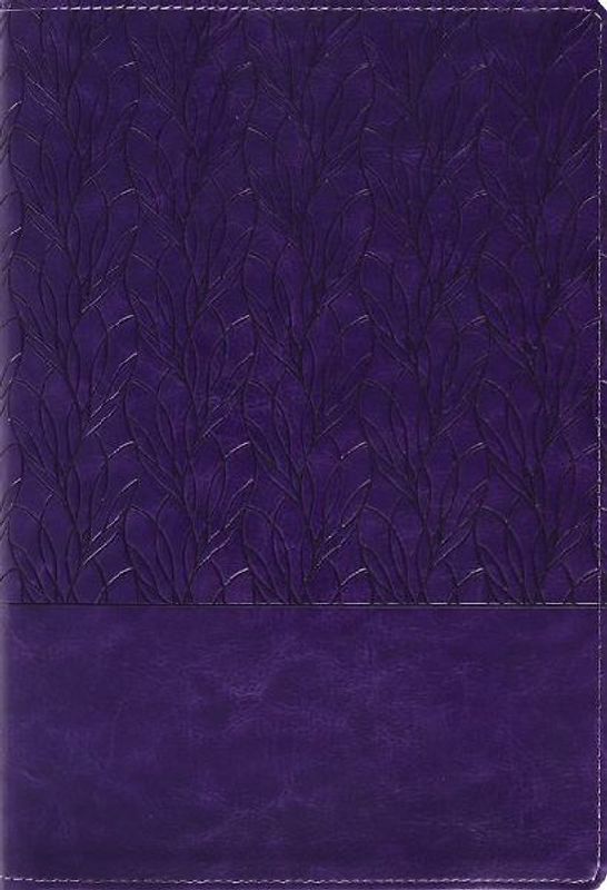 Amplified Holy Bible, Large Print, Leathersoft, Purple