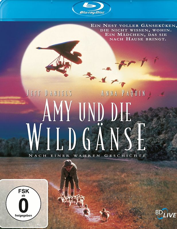 Amy und die Wildgänse Blu-ray Disc