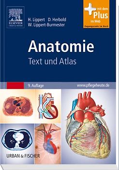 Anatomie