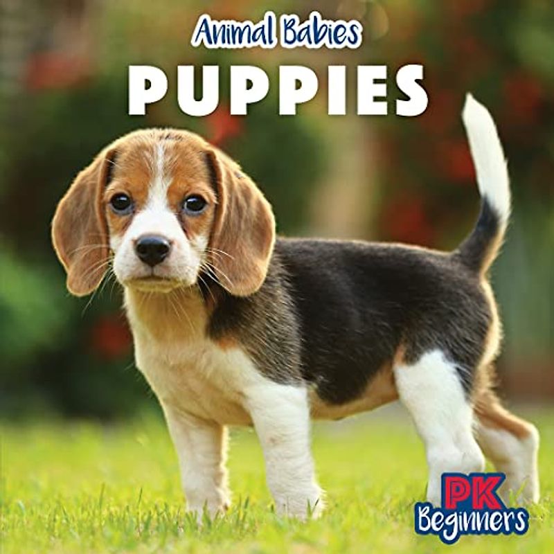 Puppies (Animal Babies)