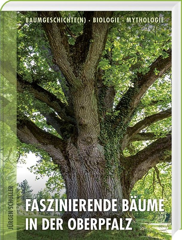 Faszinierende Bäume in der Oberpfalz