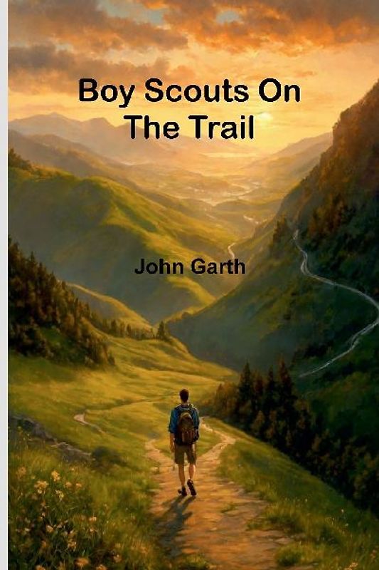 Boy Scouts On The Trail