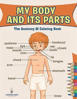 My Body And Its Parts