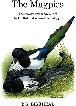 The Magpies: The Ecology and Behaviour of Black-Billed and Yellow-Billed Magpies (Poyser Monographs)