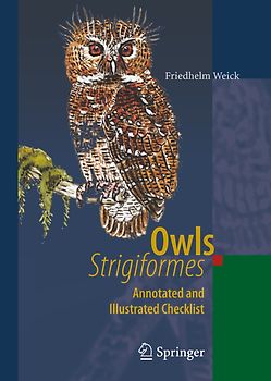 Owls (Strigiformes)
