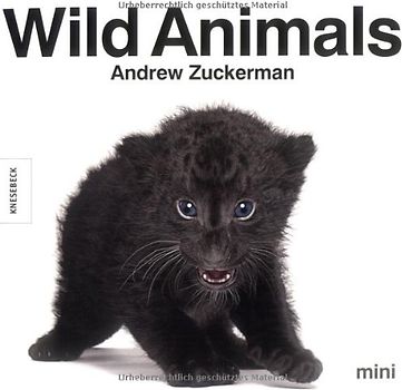 Wild Animals mini