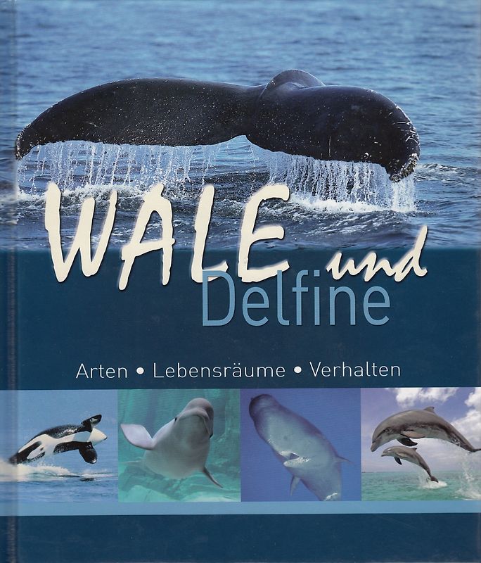 Wale und Delfine: Arten, Lebensräume, Verhalten - Rüdiger Wandrey [Gebundene Ausgabe]