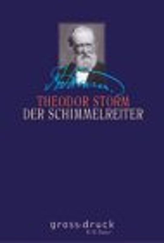 Der Schimmelreiter