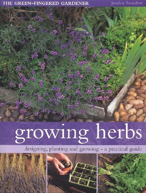 Growing Herbs