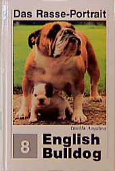 English Bulldog