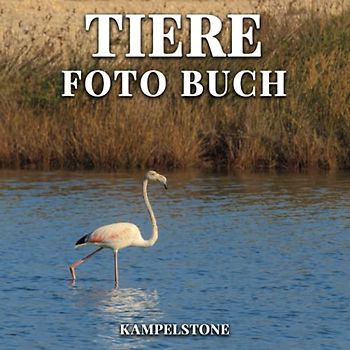 Tiere Foto Buch: 100 wunderschöne Bilder von verschiedenen Säugetieren, Meerestieren, Amphibien, Reptilien und mehr - Perfektes Geschenk- oder Kaffeetischbuch