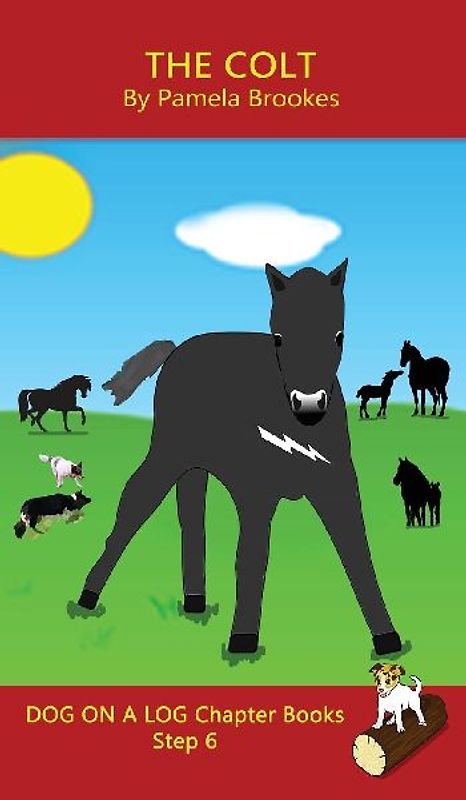 The Colt Chapter Book