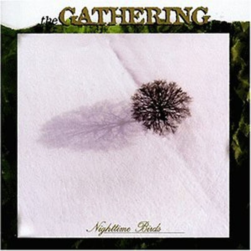 the Gathering - Nighttime Birds