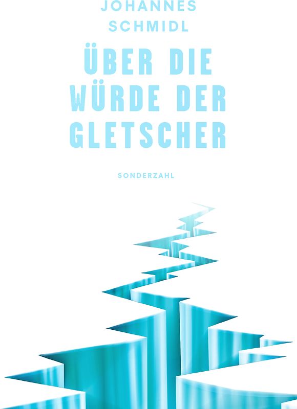 Über die Würde der Gletscher