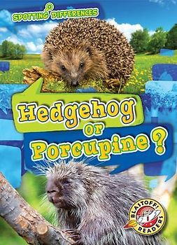 Hedgehog or Porcupine?