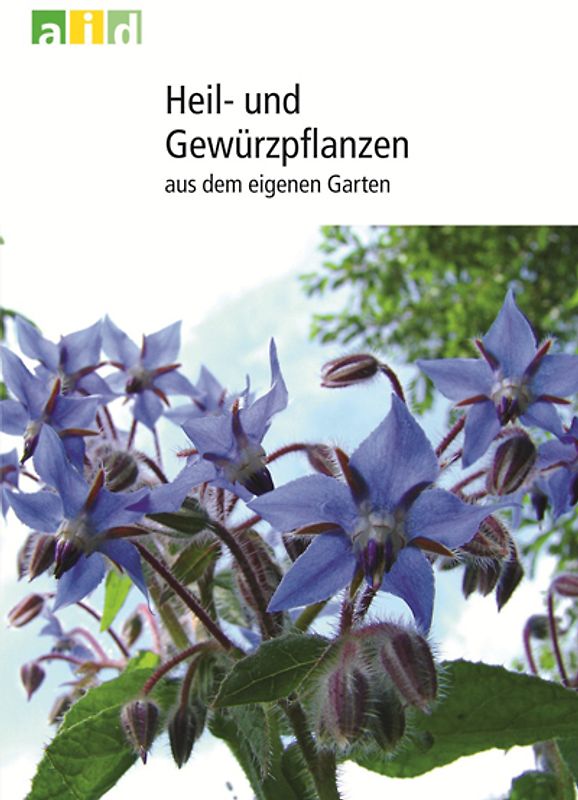 Heil- und Gewürzpflanzen aus dem eigenen Garten