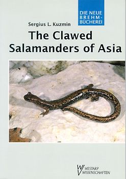 Clawed salamanders of Asia